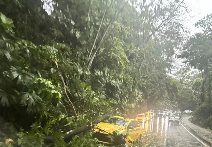 科隆遭强降雨侵袭 引发滑坡与多处损失